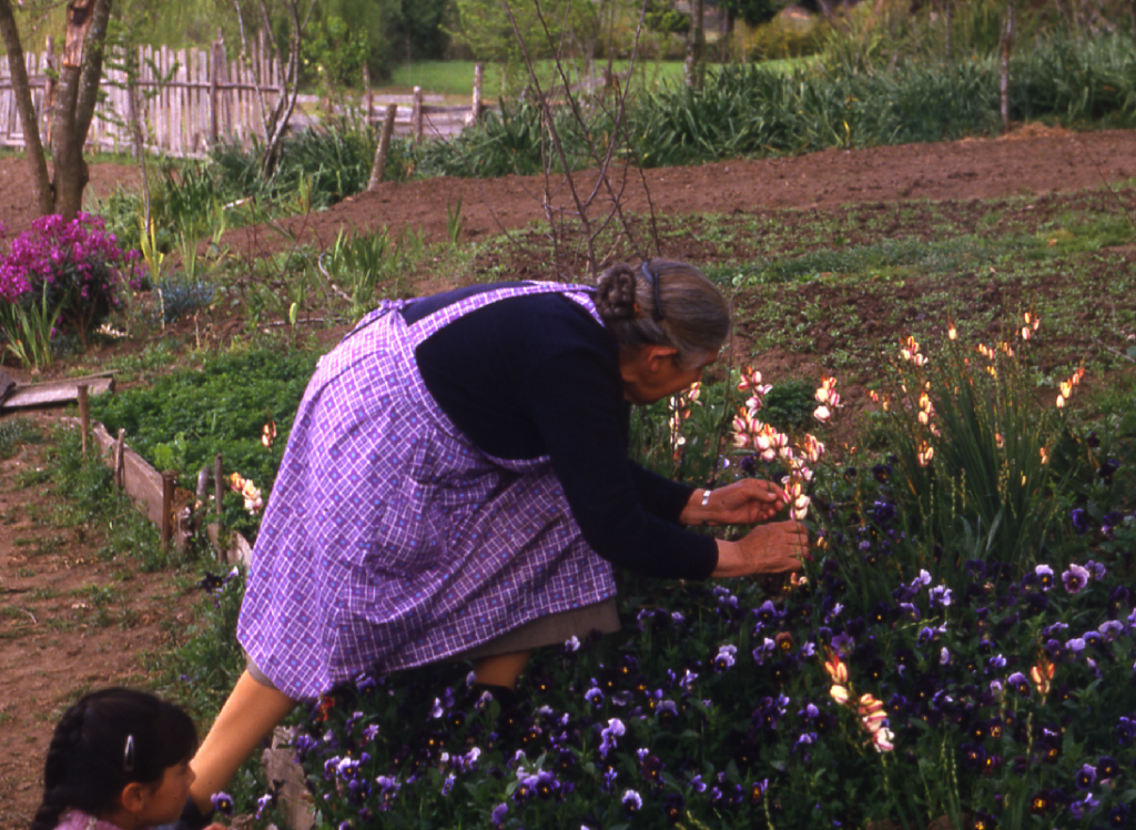 Cuidadora de semillas y arregladora de angelito