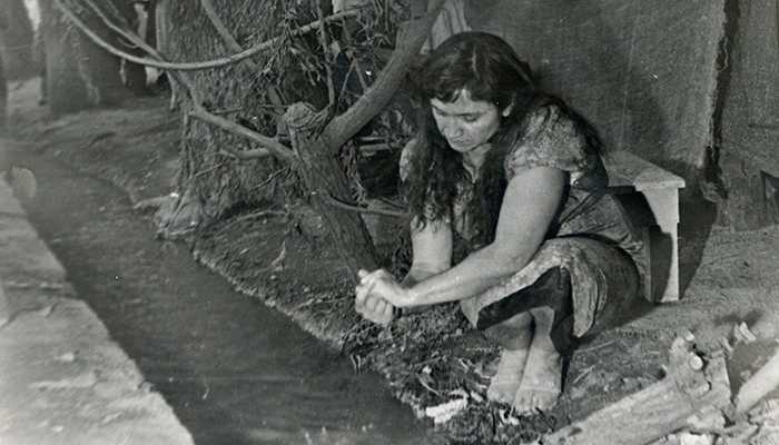 Violeta Parra en Parque Forestal