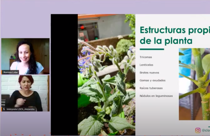 Portada Formación 2